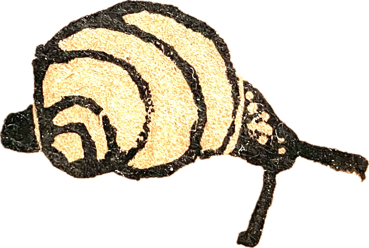 A whimsical snail